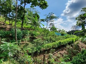 Integrated SALT Farm of David Gandhi, Oct-Dec'21