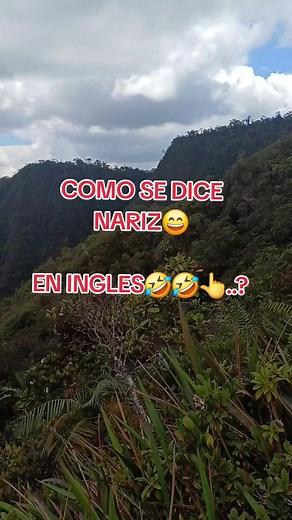 Cómo se dice 'nariz' en inglés - Aprende con humor