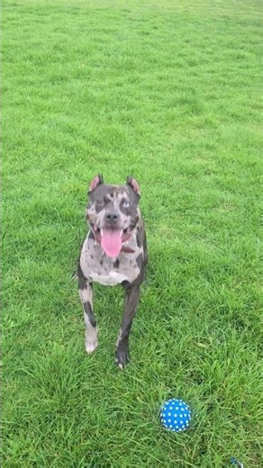 # looking him so excited