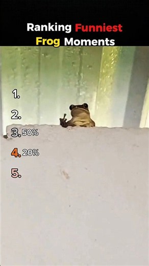 Ranking Funniest Frog Moments #shorts #funny #rankvideofast