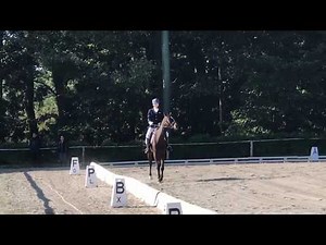 2018年10月21日 県馬事公苑大会 馬場馬術L1課目