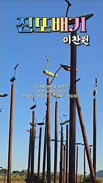 진또배기🎶이찬원🍀솟대
