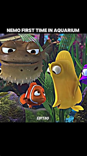 Nemo first time in aquarium | Nemo |#animation #short #edit @radiant-edit