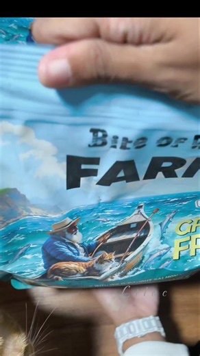 Bite of Wild cat food: Zero-Grain Kibbles para sa Malusog na Pusa