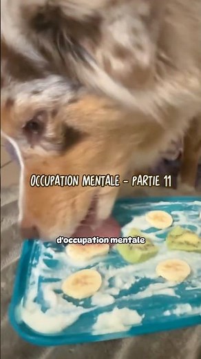 You don't need a licking mat to keep your dog occupied