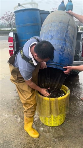 Epic Fish Splash! 🐟💦 You Won’t Believe This Release!