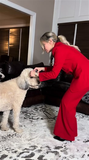 Celebrate National Wear Red Day with Style