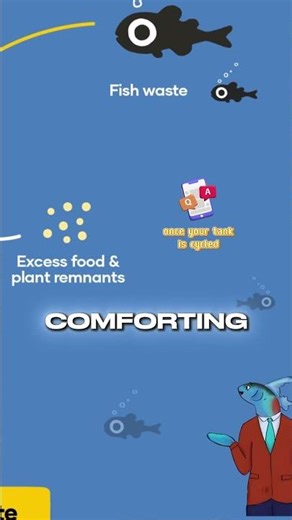 Your Tank Isn’t Safe Just Because It’s “Cycled”