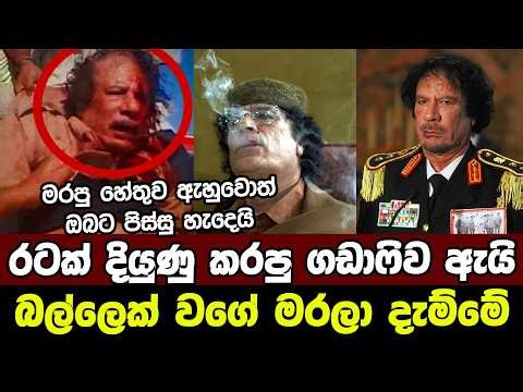 රටක් දියුණු කරපු ගඩාෆිව ඇයි බල්ලෙක් වගේ මරලා දැම්මේ | Why was Gaddafi killed? | Muammar Gaddafi