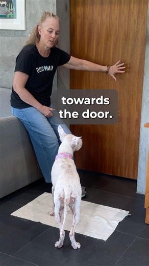 Fix Door Manners Fast (Tip: Start Indoors)