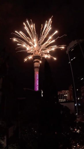 New Zealand's Most Insane Fireworks Show 🎆 #newyear #fireworks #newzealand #2026