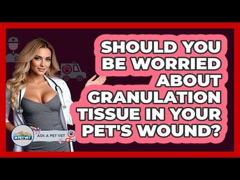 Should You Be Worried About Granulation Tissue In Your Pet's Wound? - Ask A Pet Vet