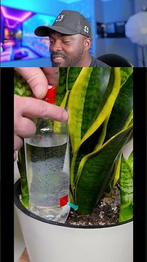 DIY Automatic Plant Watering System from Plastic Bottle #diy #gardening #hack