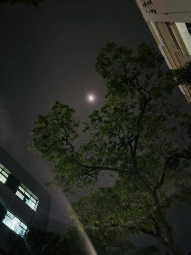 Exploring Thoughts Under Moonlight