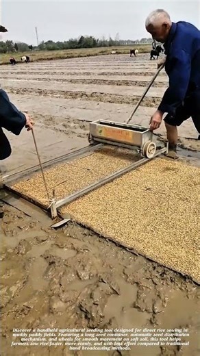 👉 Amazing Manual Rice Seeder Machine | Direct Seeding in Paddy Field Made Easy #farmingtips #short