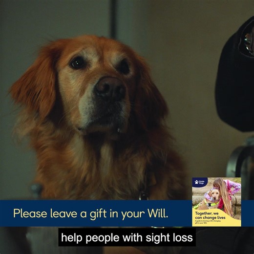 You can have your Will written or updated for free through Guide Dogs this summer, and leave a gift to help people with sight loss live an active and independent life at every step of their journey. [Description: This video shows two brothers, Max and Jake, and their close bond from childhood through to adulthood. Max can be seen learning how to use a cane and later having his own guide dog. A video banner displays the following text: Please leave a gift in your Will’.] | Guide Dogs UK