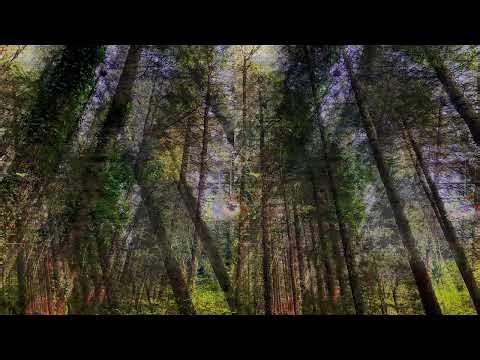 The first step on your journey