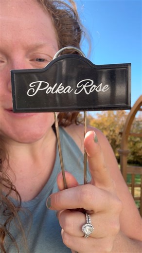 Watch Love These Garden Labels! They hold up great! on Amazon Live