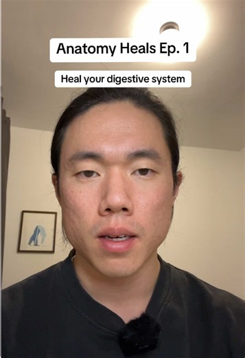 Anatomy Heals Ep.1: the Digestive System Because sickness breeds in unawareness, while illumination and awareness Heals. What part of the body should I do next? *all videos are courtesy of SciePro #selfhealing #bodyhealing #digestivehealth #restanddigest #vagusnerve