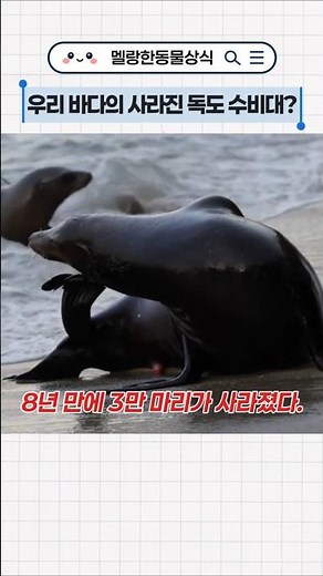 우리 바다의 사라진 독도 수비대? #동물상식