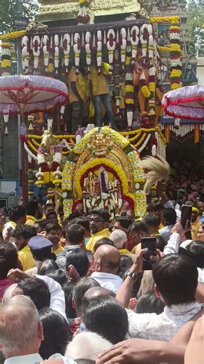 Brahma Rathotsavam / Kadu Malleshwara Temple / shorts / swami rupam