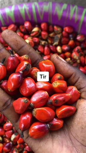 Pikathie: Plat Diola de Casamance