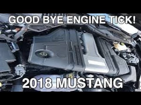 2018-2021 Mustang GT Typewriter Tick/BBQ Tick. Don't Be Worried!