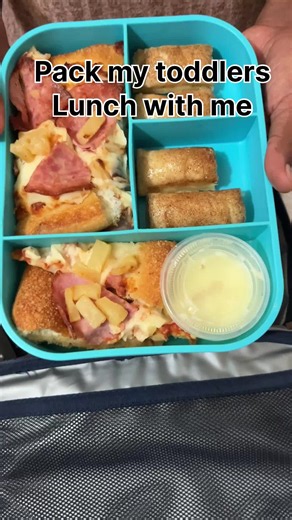 Toddler Lunch Ideas: Pizza, Cinnamon Sticks & Fruits