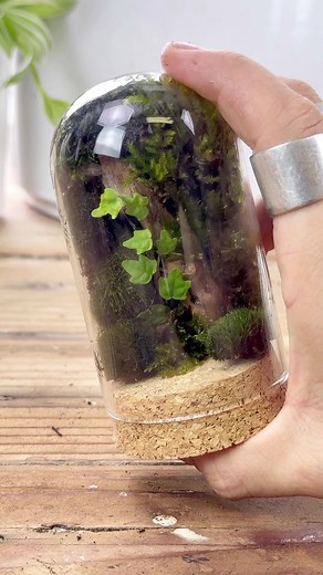 Here’s the tutorial on how I made this glass dome terrarium #plants #terrarium #tutorial #howto #diy #moss #portland #begginer