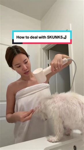 Why did it have to happen at midnight on a Thursday 😂😭💀💀💀 | skunk spray