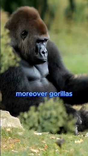 Gorilla Strength Explained 💪 It’s Not What You Think 🦍