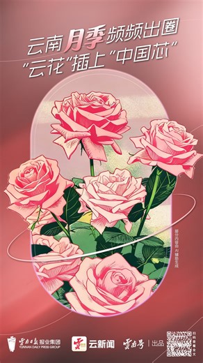 云新闻策划丨云南月季频频出圈，“云花”插上“中国芯”