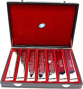 Swan 24-hole Polyphonic Harmonica 7 sets silver C D E F G A B Professional Performance Set for Adults Beginners Students, Perfect Interest Gift
