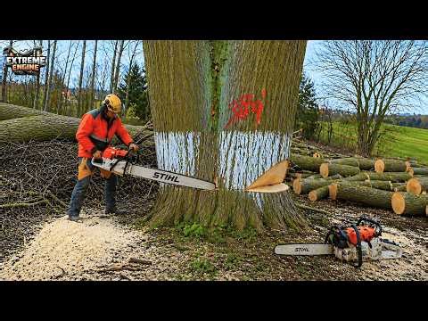 Extreme Dangerous Fastest Big Chainsaw Cutting Tree Machines | Wood Chipper Machine #18
