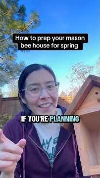 How to Prepare Your Mason Bee House for Spring