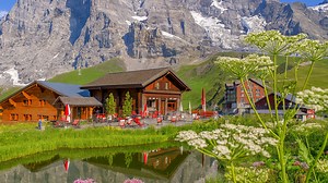 Kleine Scheidegg to Grindelwald by Train (4K)