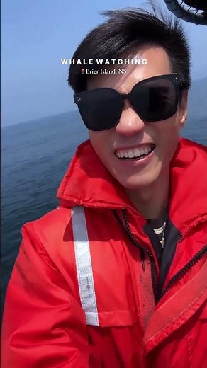 Take a Whale Watching Trip to Brier Island