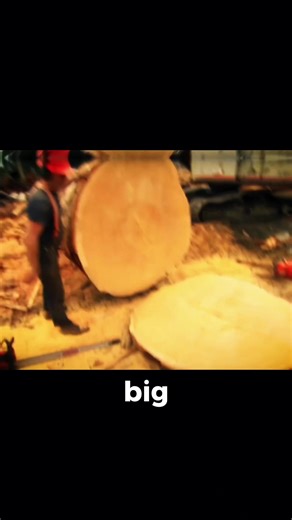 Big Timber: The Challenge of Logging on Vancouver Island