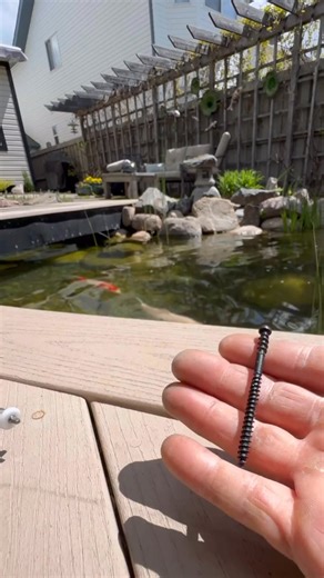 If I were to make a decking decision 12 years later, I would make the same choice - Azek PVC decking. It has faded very minimally and is easily pressure washed without damaging it. The installation was very easy. It was very expensive, but now looking back it was worth it. I remember the custom glass panels I had cut was cheaper per sq/ft than the decking itself. I had to put in a couple of screws today because a large rock in our pond raised up and heaved with the frost over the years and pushe