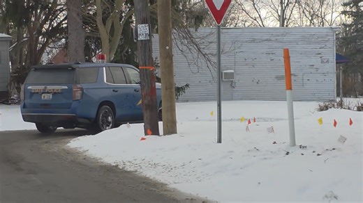🚨Police🚨situation Shattuck Rd & Hermansau Rd, Saginaw Township, Michigan Foot chase, Tazer deployed, one in custody. | Breaking News 989