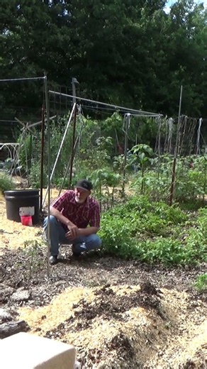 Learn why deep mixed mulch works so well