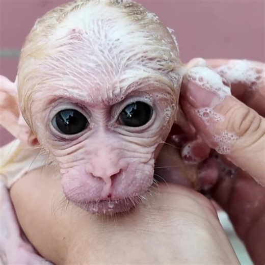 The mother is bathing baby... | baby water