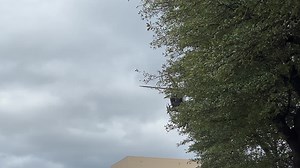 3.4M views · 14K reactions | 5 Bladed Airbus Helicopters H145 arriving into the Dallas Convention Centre for HELI EXPO 2022. | HeliOps Magazine | Facebook