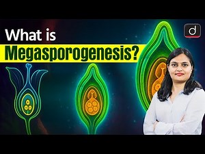 What is Megasporogenesis? | General Science | BOARD + CUET | Drishti CUET & CLAT