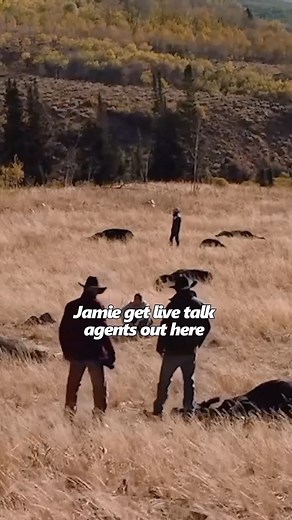 The best video of Yellowstone ♥ | Yellowstone Fans Page