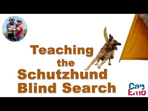 Training The Blind Search for Schutzhund