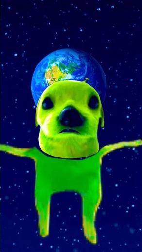 dog is live alien happy birthday 🤣