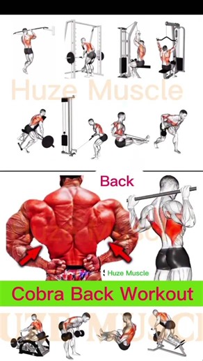 Build a Massive Back Fast 💪 | Best Back Workout for Width & Thickness #Shorts