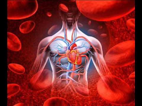 4 Hours Healing Frequency for Lowering High Blood Pressure | Binaural Beats Blood Pressure Healing
