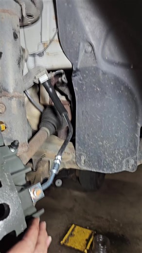 angry wasps (@angry.wasps)’s videos with original sound - angry wasps